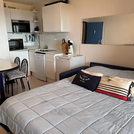 Lejlighed T2 A Banyuls, Terrasse, Parking, Wifi - Fr-1-309-373 *