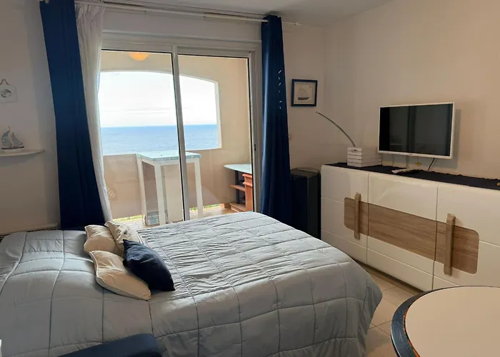 T2 A Banyuls, Terrasse, Parking, Wifi - Fr-1-309-373 Lejlighed *